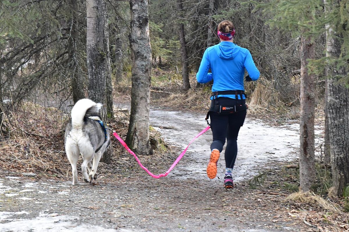 Miniatură jogger-4.jpg