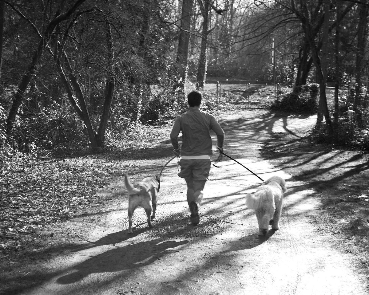 Miniatură runnerman-1.jpg