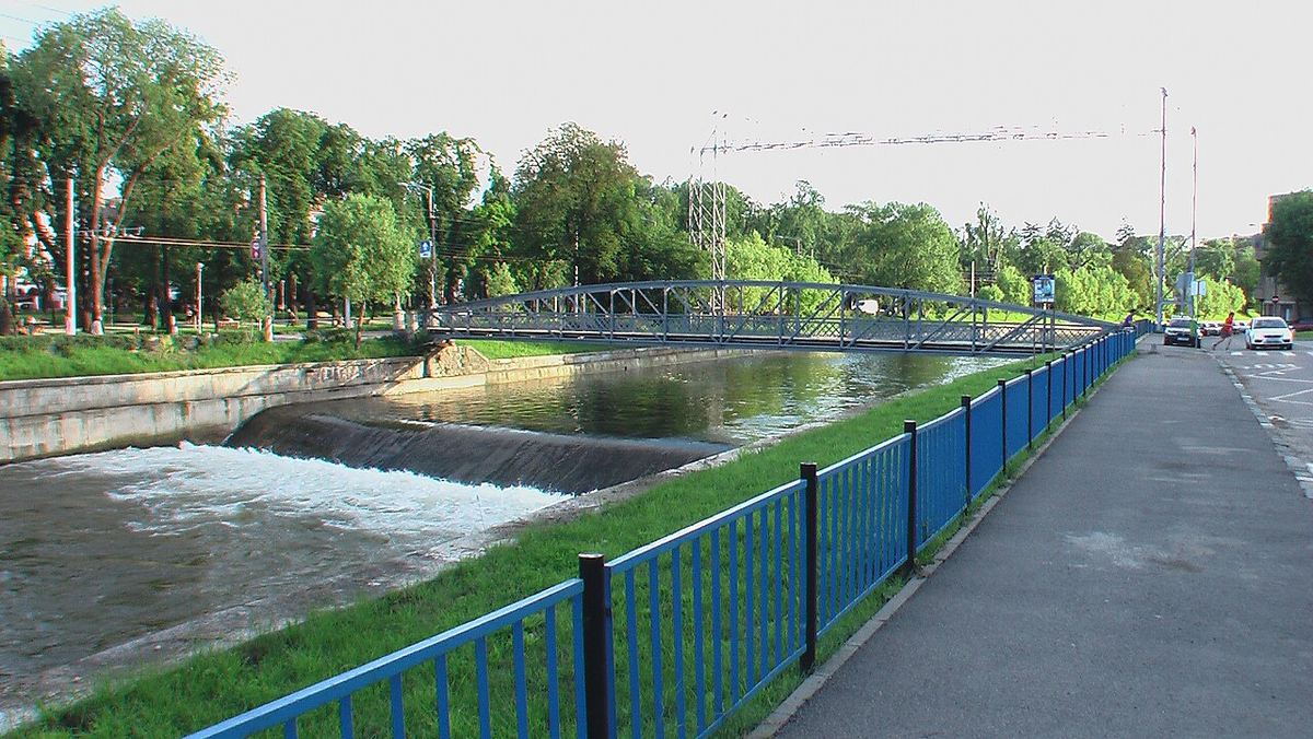 Miniatură somes-1.jpg
