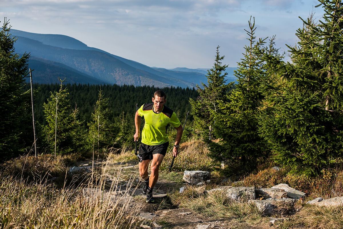 Miniatură trail-3.jpg