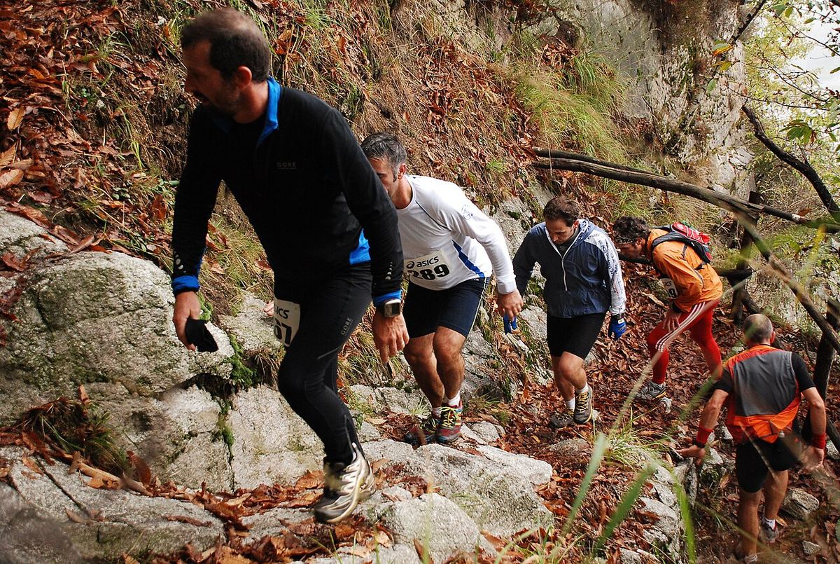 Miniatură trail-4.jpg